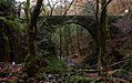 Ponte do río Sesín