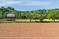 Vignette pour la version du 9 mai 2020 à 22:55