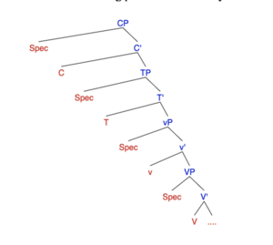 Syntax Tree of simple sentence.png