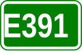 E391 shield