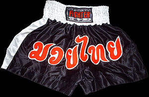 A pair of Muay Thai shorts, note the Thai text that means Muay Thai in English.