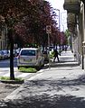 Una veduta di via Pozzo Strada.