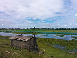 Skyline of Sarishabari, Bangladesh