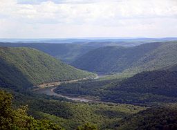 Okcidenta Branĉo Susquehanna Rivero, oriente de Hyner View.JPG