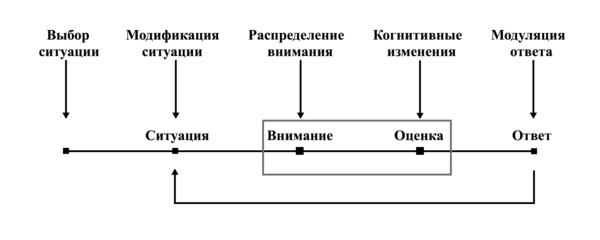Процессуальная модель регуляции эмоций, с выделением пяти классов стратегий регуляции эмоций.