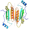 P19 protein dimer