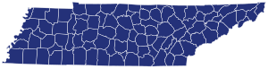 Final results by county