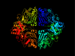 ATase crystal structure.png