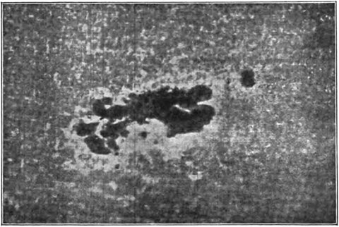 Fig. 27, La grande tache du 9 octobre 1903, photo des parties inférieures des facules de calcium