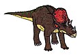 Avaceratops