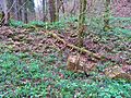 Ruines de l'ancien couvent de cordeliers.