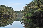 Miniatura para Parque nacional de Berbak