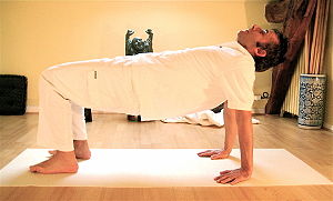 Yoga postures Catushpadapitham
