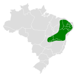 Distribución geográfica del curutié cabecigrís.