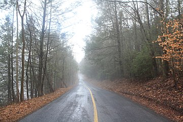 A road to Dellville.