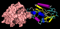 Endostatin