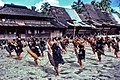 Nias war dance