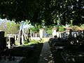 Miniatura pro Slivenecký hřbitov