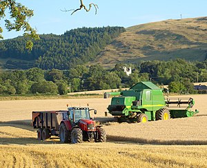 Grain harvest, Bridge of Earn, Perthshire, Scotland Harvest home, Brickhall.jpg