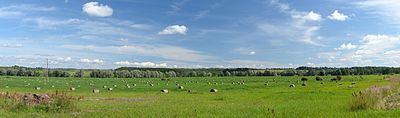 Padang rumput dan bal jerami Desa Rihkama, Estonia