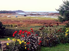 Île Grande, le chemin An Ervillo