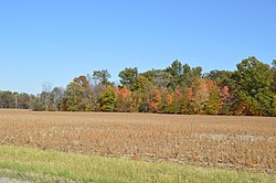 Fields south of North Robinson