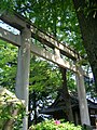 Le torii du sanctuaire Kasai