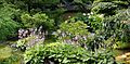 Kasugai Gardens, Kelowna July 2016, Full resolution ‎(9,555 × 4,732 pixels, file size: 27.873 MB) #220