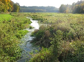 Photographie en couleurs d'une rivière aux rives recouvertes d'herbacées, une route bordée d'un massif forestier visibles au second plan.