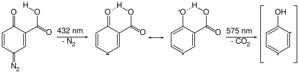 Bildung von meta-Dehydrophenol aus Chinondiazid