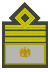 MVSN-Comandante generale.svg