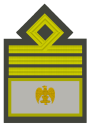 MVSN-Comandante generale.svg