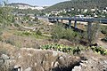 תמונה ממוזערת לגרסה מ־18:45, 13 בספטמבר 2018