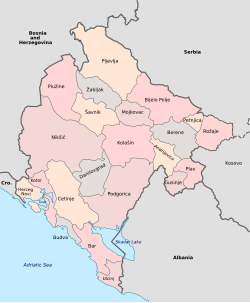 Муниципалитеты Черногории.svg