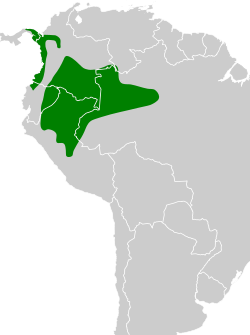 Distribución geográfica del hormiguerito de Griscom.