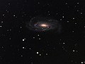 Miniatura per NGC 5033