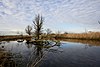 Oostvaardersplassen