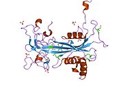 1q33: Crystal structure of human ADP-ribose pyrophosphatase NUDT9