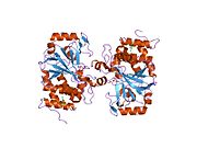 1s95: Structure of serine/threonine protein phosphatase 5