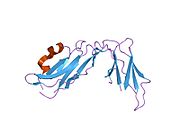 1ufu: Crystal structure of ligand binding domain of immunoglobulin-like transcript 2 (ILT2; LIR-1)
