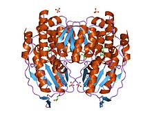 PDB 1x9h EBI.jpg