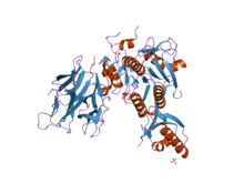 PDB 2pmw EBI.png