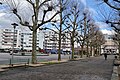 Place de la République, Limoges (4 février 2014)