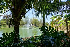 Пруд - Парк фруктов и специй - Хомстед, Флорида - DSC09048.jpg