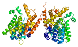 Белок PDE4B PDB 1f0j.png