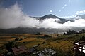 Punakha