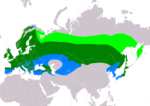 Pyrrhula pyrrhula – Verbreitung