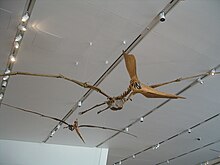 Han og hun Pteranodon sternbergiskeletter ved Royal Ontario Museum.