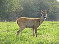 2015年5月25日 (月) 22:12時点における版のサムネイル