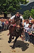 Kufenstechen à Feistritz an der Gail en 2010